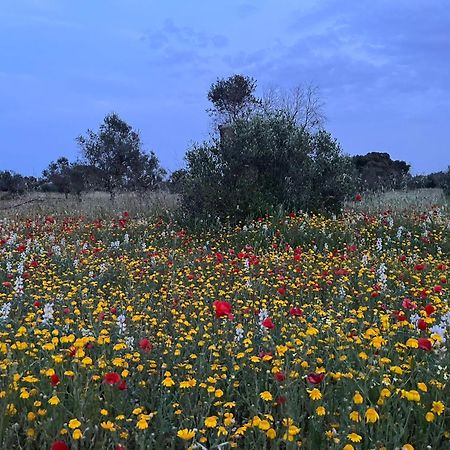 Agriturismo Villa Coluccia Martano Bagian luar foto
