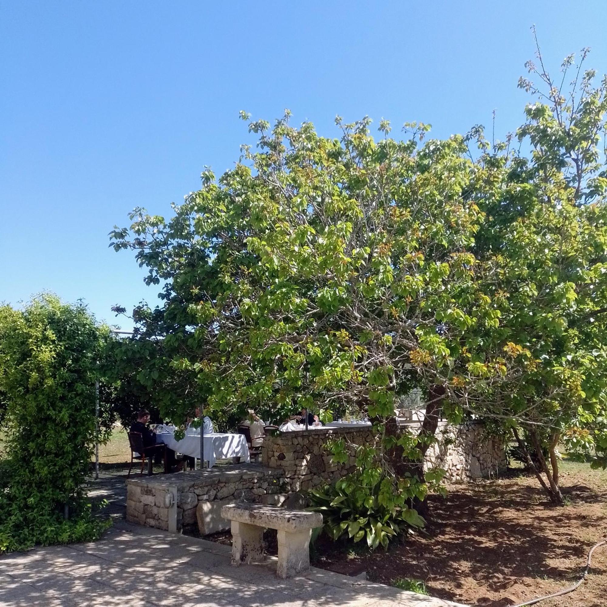 Agriturismo Villa Coluccia Martano Bagian luar foto