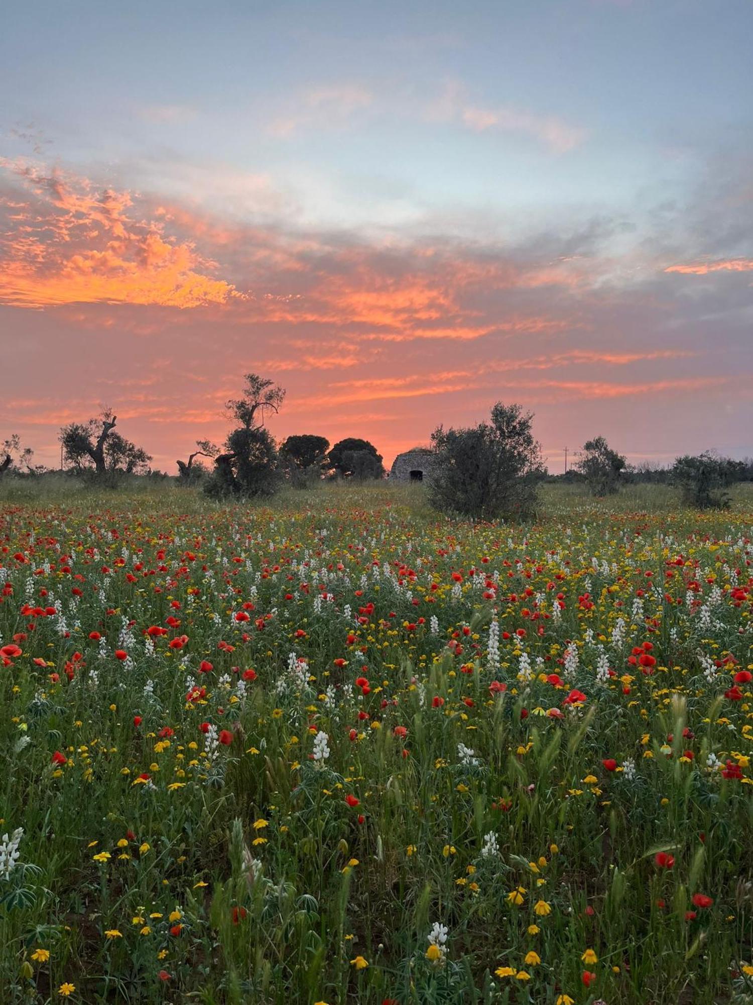 Agriturismo Villa Coluccia Martano Bagian luar foto